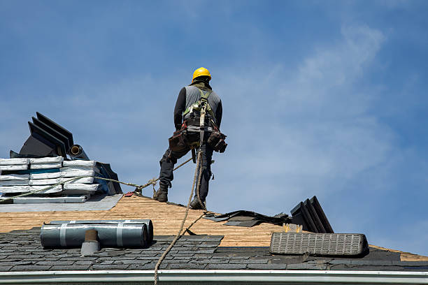 Professional Emergency Roof Repair technician working in Bloomingdale, FL
